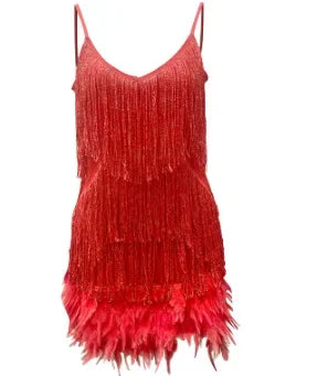 Luxury Fringed Party dress